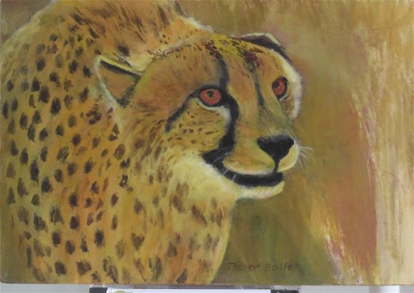Trevor Bollen Art - cheetah