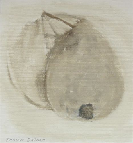 Trevor Bollen Art - pear and shadow